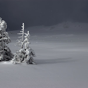Photo Selection - 20101224