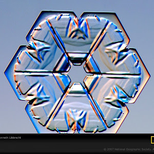 Photo Selection - 20101225