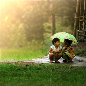 Photo Selection - 20101225