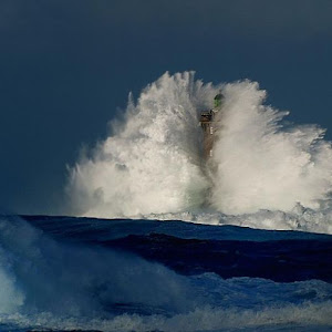 Photo Selection - 20110112