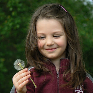 Photo Selection - 20110103