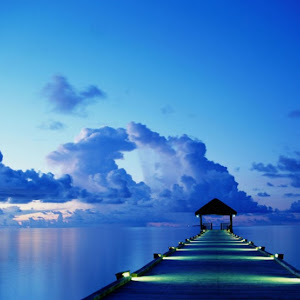 Photo Selection 0 20110105