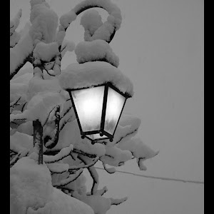 Photo Selection - 20110117