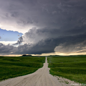 Photo Selection - 20110206