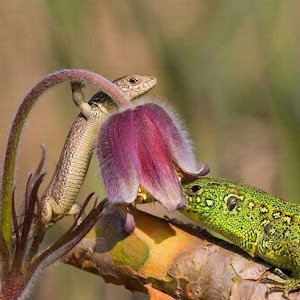 Photo Selection - 20110206