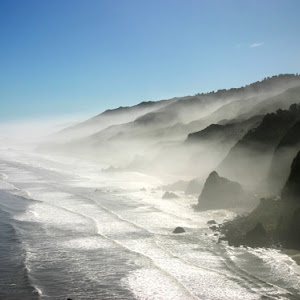 Photo Selection - 20110201