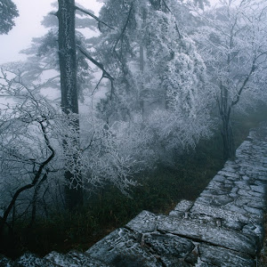 Photo Selection - 20110201