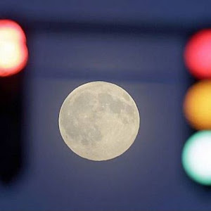 Photo Selection - 20110226