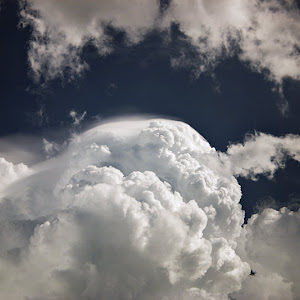 Photo Selection - 20110226