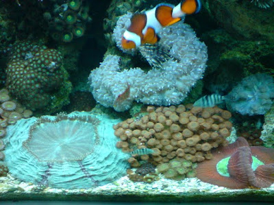 makan%20tempat.JPG