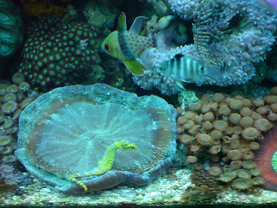 DSC02354.JPG
