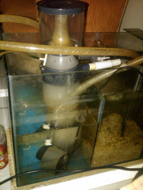 sump%20old%20but%20new2.jpg