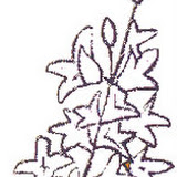 01 L