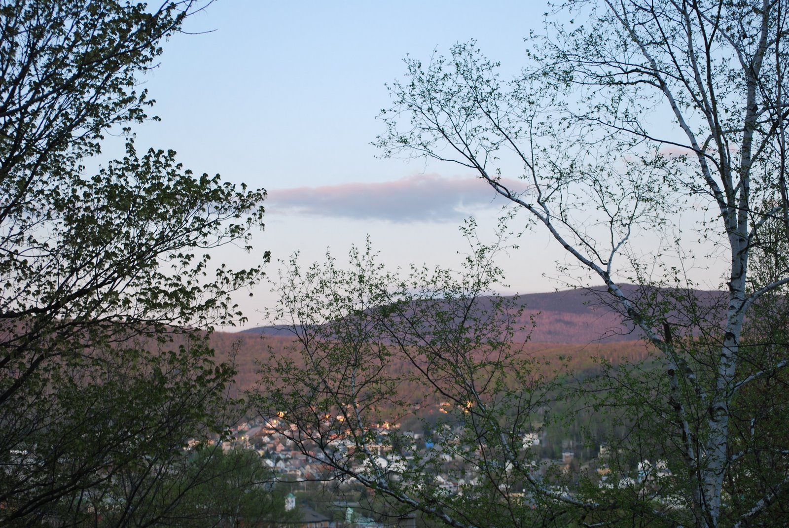 [DSC_0715.JPG]