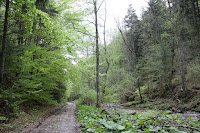 Markusovce-Slovinky-Kosice-34.jpg