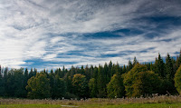 Slovensky_Raj-Velky_Sokol-105.jpg