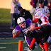 DSC_2449FightingFillies.jpg