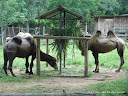 ferias2008