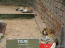 ferias2008