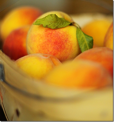 basket of Georgia peaches