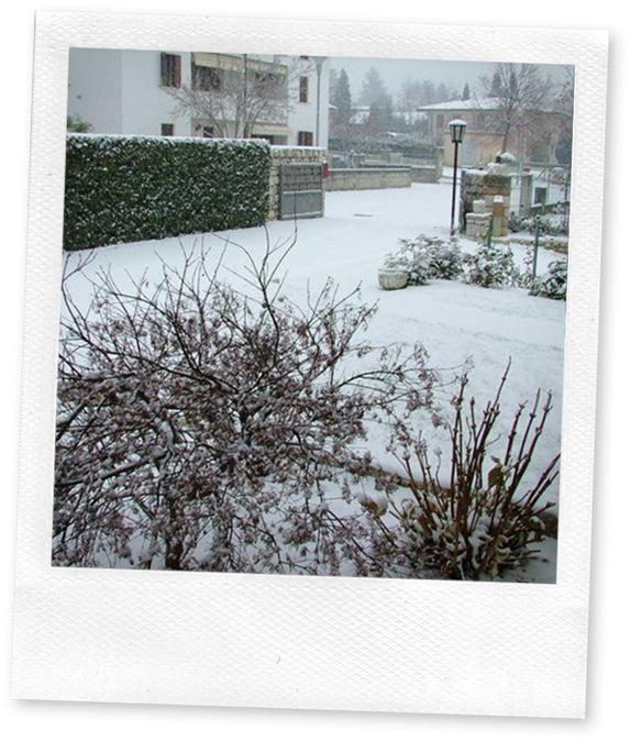neve4 neve4