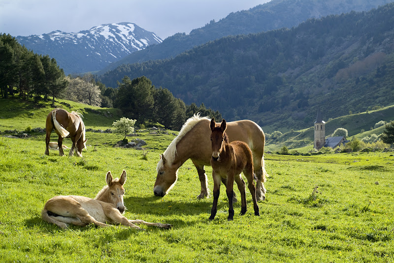 Eslovenia