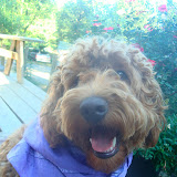 Like my bandana?