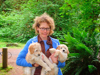 Labradoodle Breeder 
Melanie's GorgeousDoodles