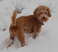 bodi snow pics - 06(2) copy