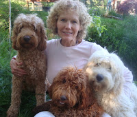 Breeder Melanie with her Labradoodle Breeding dogs Tennison, Elise and Jeffrow