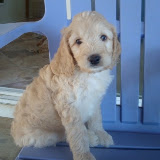 Quigley