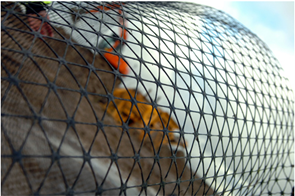 jual Geogrid Tensar TRIAX - 0812 108 3060