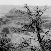 Deadwood