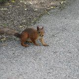 Urlaub in Finnland 2008 - Helsinki