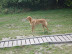 dsc03066.jpg