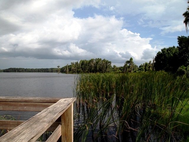 [Lake Louisa State Park[4].jpg]