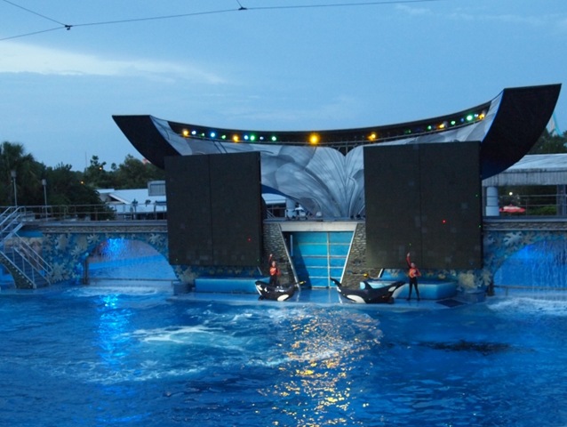 [Shamu Rock5[2].jpg]