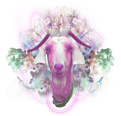 http://lh5.ggpht.com/_fw7iF68JR8k/TKlXqfMqklI/AAAAAAABZyk/9trWF9kca8M/Tripping%20homo.jpg