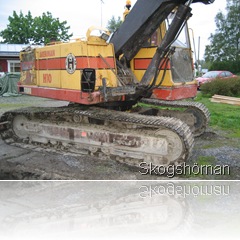 IMG_3513 IMG_3513