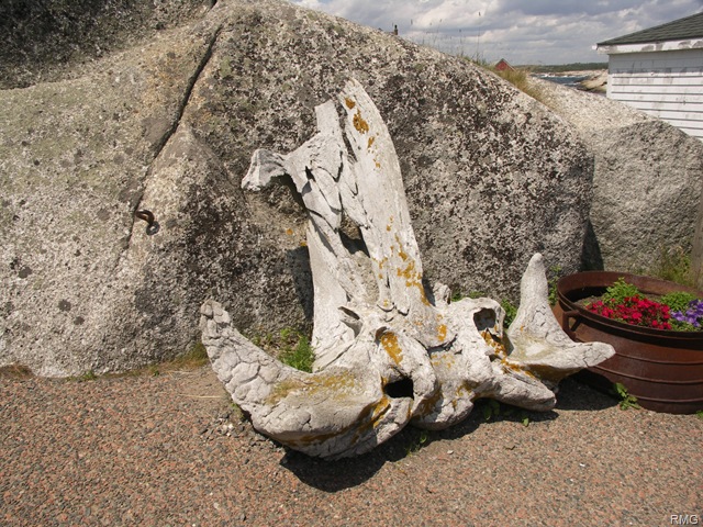 [Peggy's Cove NS (16)[4].jpg]