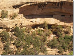 move cliff dwellings