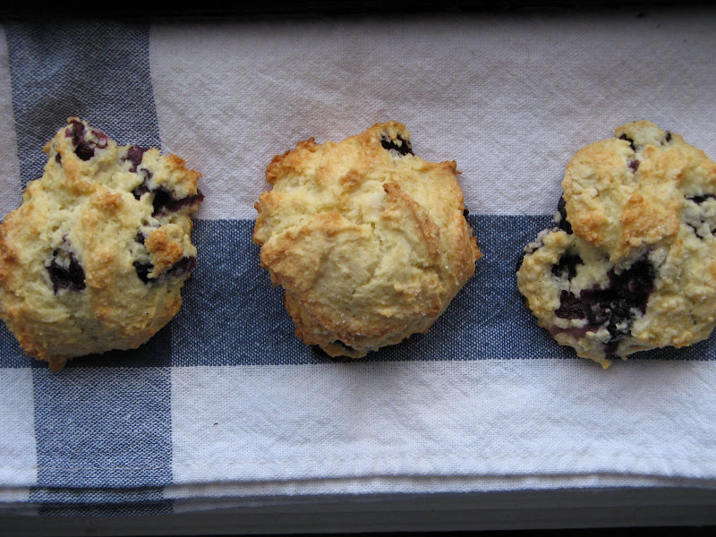 blueberry scones