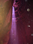 DSCN2435.JPG