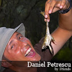 Danie-Petrescu.jpg