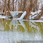 Winter-2010-Danube-Delta_by_Daniel_Petrescu