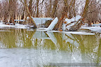 Ice in the Danube Delta_02.JPG