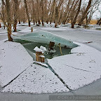 Winter-2010-Danube-Delta_by_Daniel_Petrescu