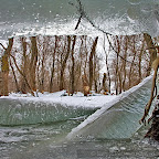 Winter-2010-Danube-Delta_by_Daniel_Petrescu