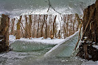 Ice in the Danube Delta_05.JPG