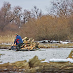 Winter-2010-Danube-Delta_by_Daniel_Petrescu